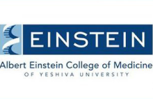 Albert Einstein college of medicine logo